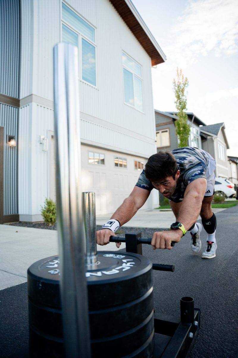 Push And Pull Sled - Image 5