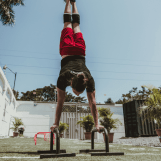 Low Parallettes - Image 2