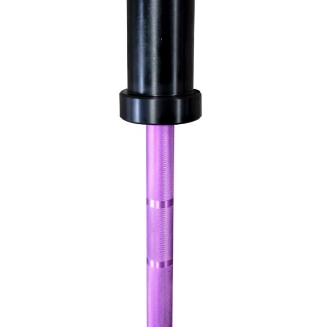 2.5KG Kids Barbell Purple