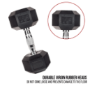dumbells3.png