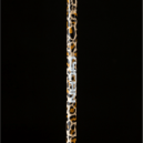 wild-barbell-02.png