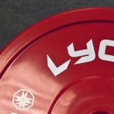 Technique Plates (pair) (SECONDHAND) - Image 2
