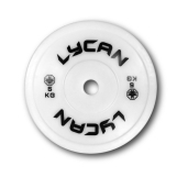 Technique Plates (pair) (SECONDHAND) - Image 5