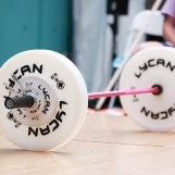 Technique Plates (pair) (SECONDHAND) - Image 7