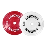 Technique Plates (pair) (SECONDHAND) - Image 4