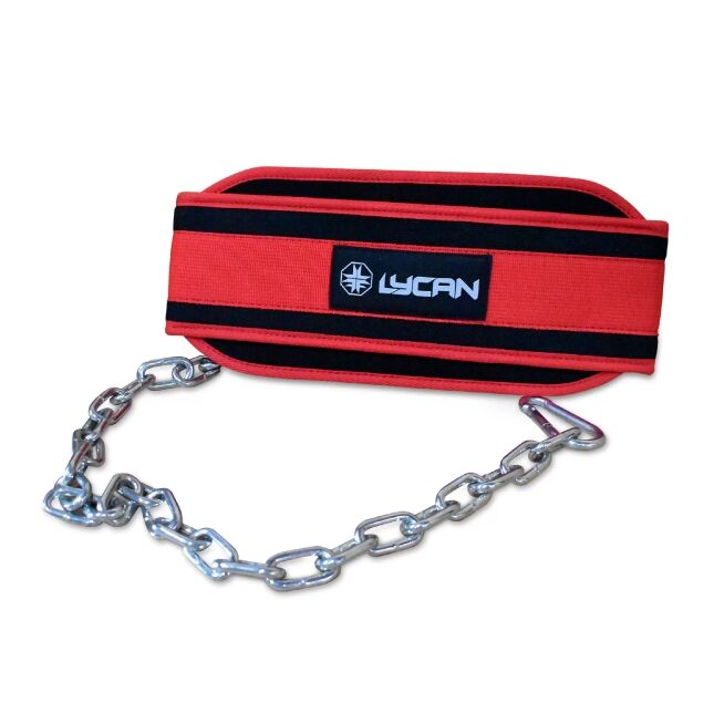 Dip Belt with Chain