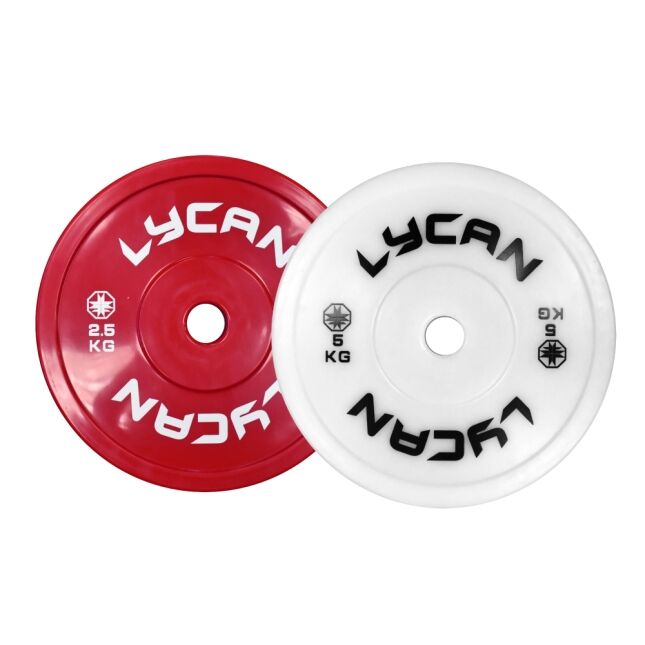 Technique Plates (pair)