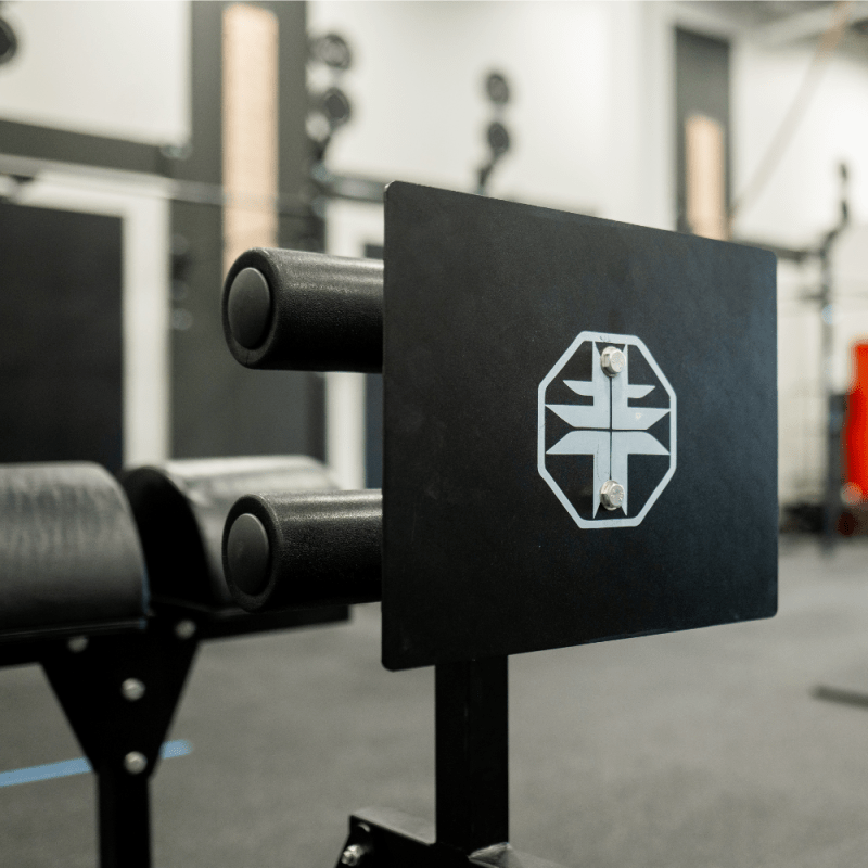 Pro Glute Ham Developer (GHD) - Image 2