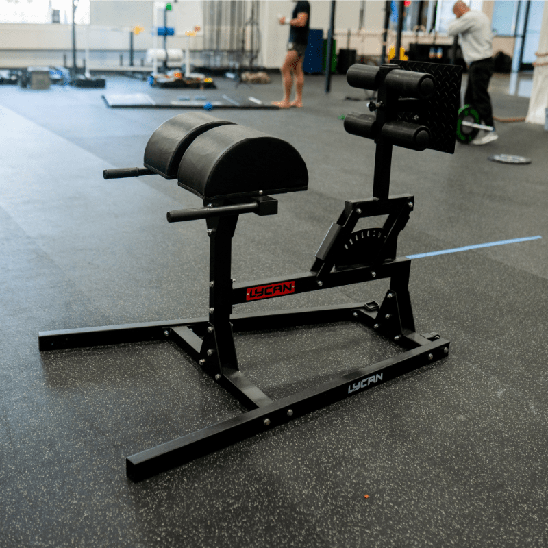 Pro Glute Ham Developer (GHD) - Image 3
