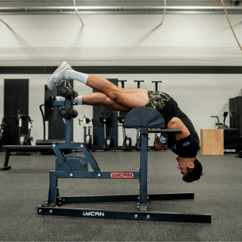 Pro Glute Ham Developer (GHD) - Image 5