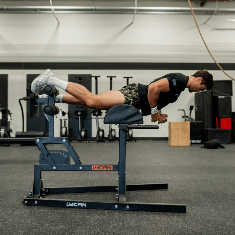 Pro Glute Ham Developer (GHD) - Image 6